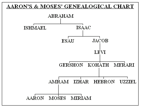 Abraham Generation Chart